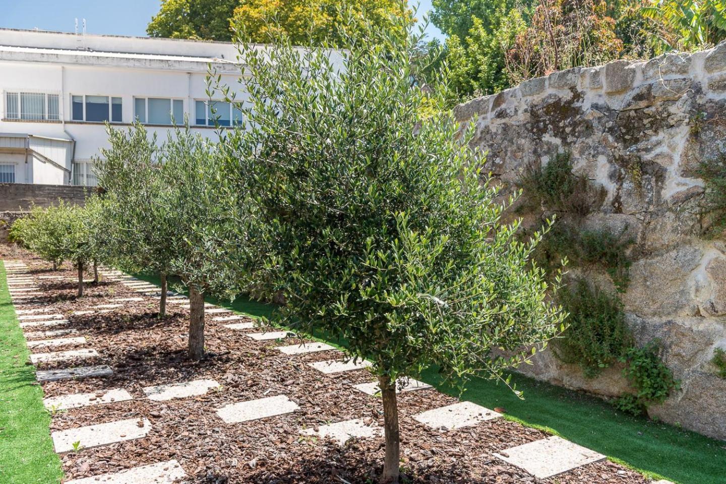 Guestready - Jardim Das Oliveiras Guesthouse Porto Exterior foto